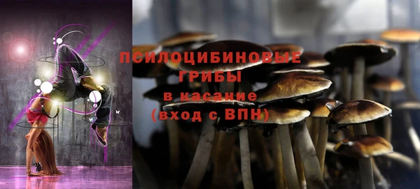 индика Навашино