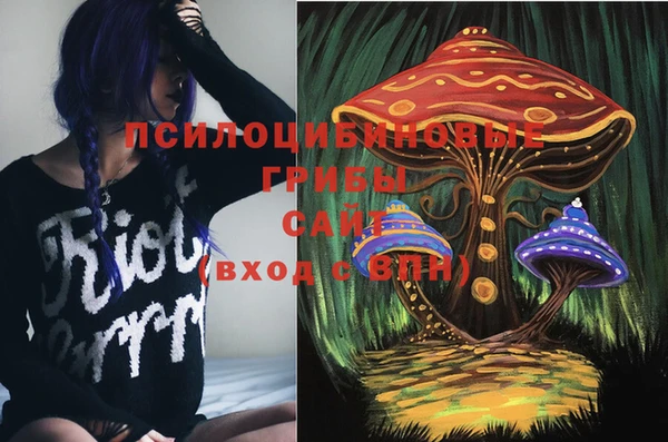 apvp Нефтекумск