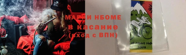 шишки Дмитровск