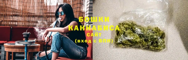 сатива Белая Холуница