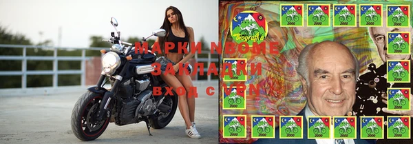 крисы Надым