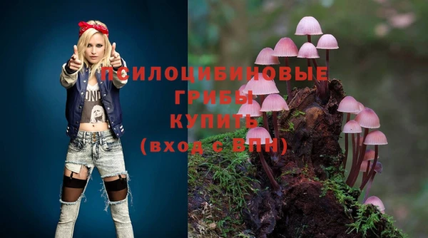ешки Михайловск