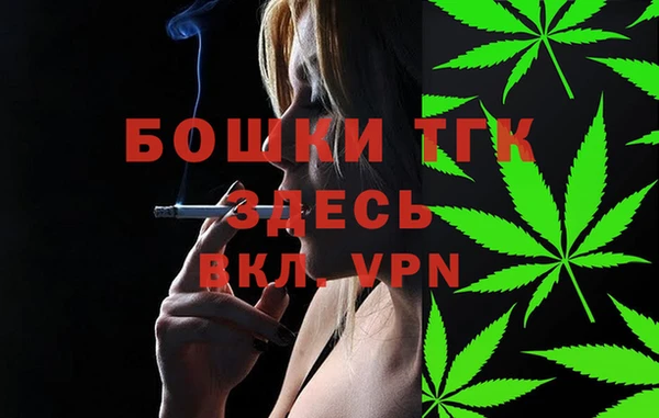 крисы Надым