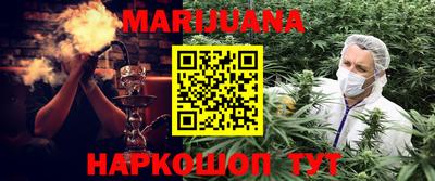 крисы Гай