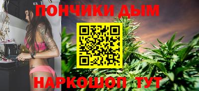 крисы Гай