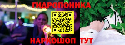 крисы Гай