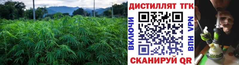 продажа наркотиков  Избербаш  omg ONION  Дистиллят ТГК жижа 